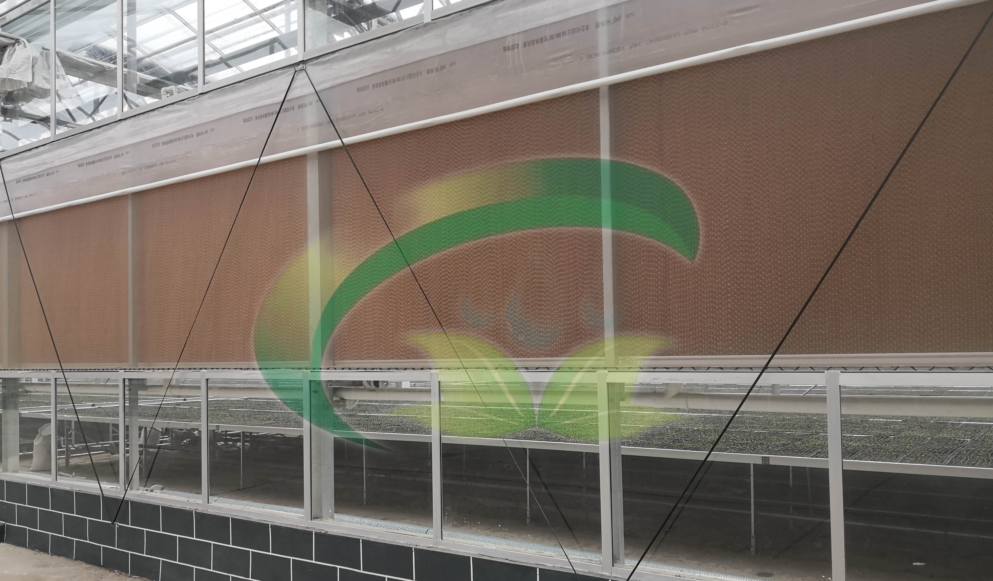 1650446491642554.jpg 微信图片_20210417160950.jpg