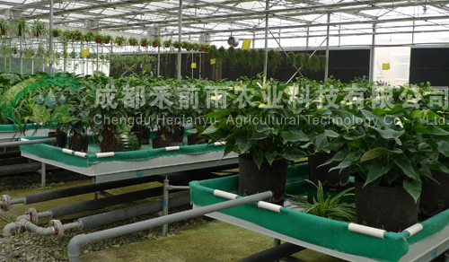 1650446589716427.jpg 1575855037809728.jpg