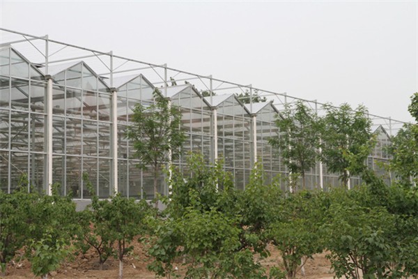 香港宝典报纸大全