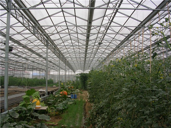 香港宝典报纸大全