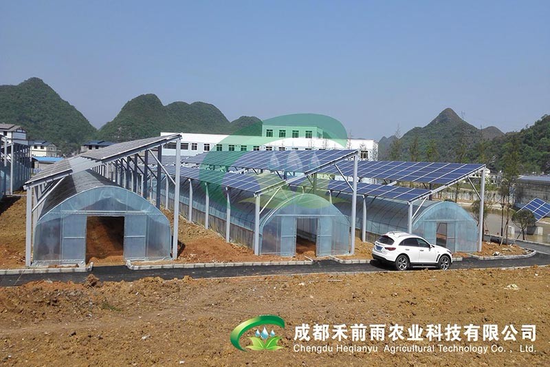 香港宝典报纸大全