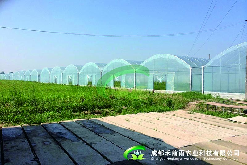 香港宝典报纸大全