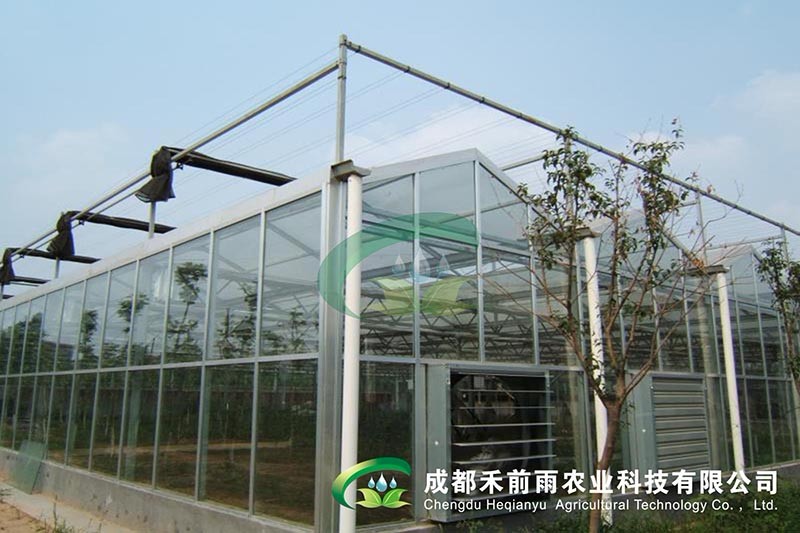 香港宝典报纸大全