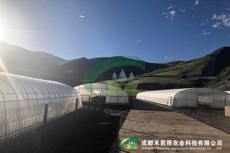 香港宝典报纸大全