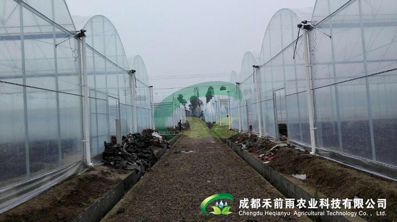 香港宝典报纸大全