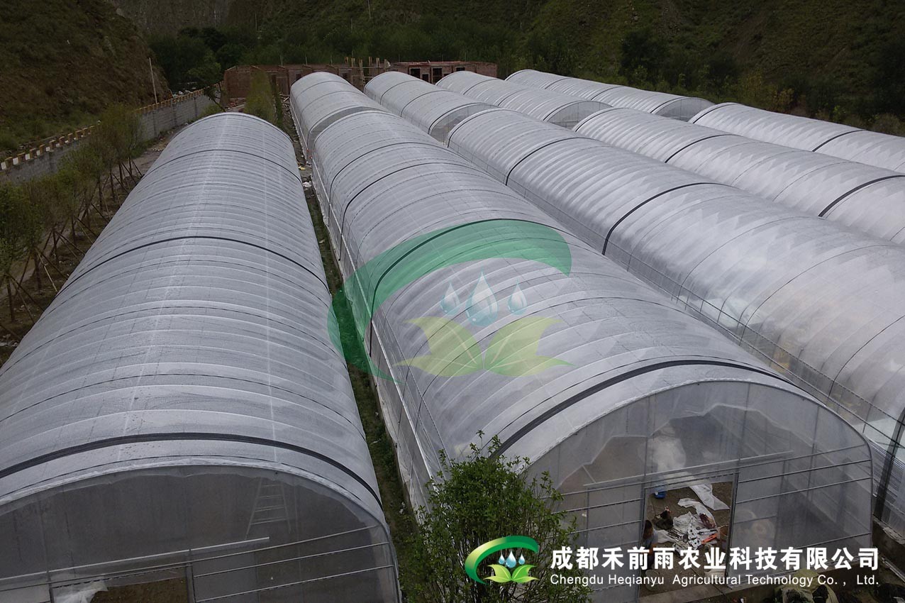 香港宝典报纸大全