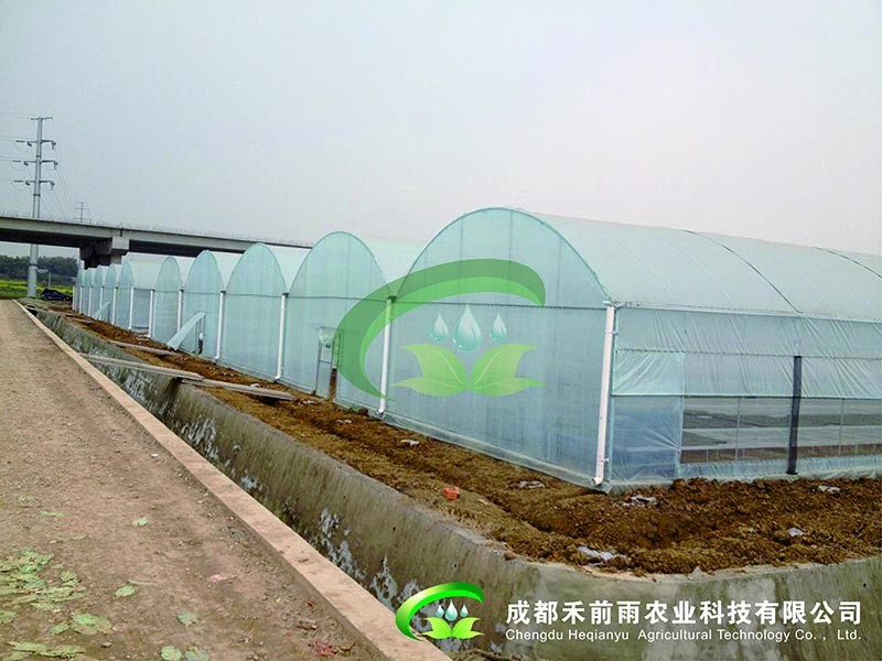 香港宝典报纸大全