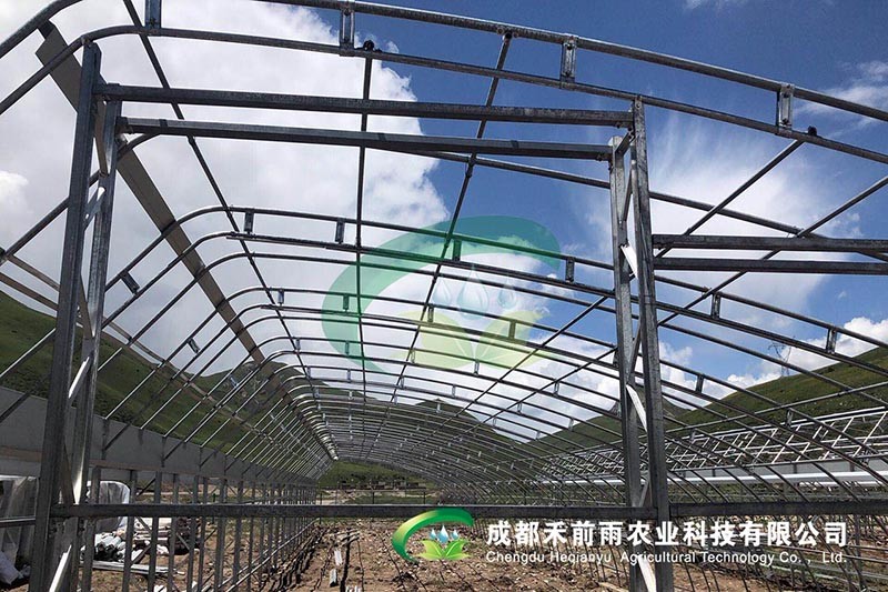 香港宝典报纸大全