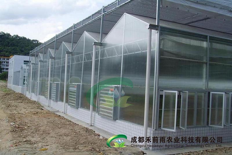 香港宝典报纸大全