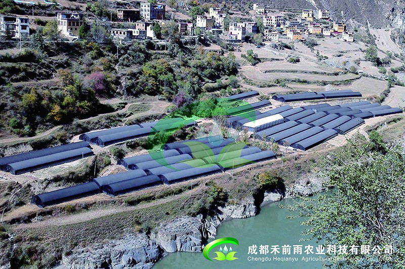 香港宝典报纸大全