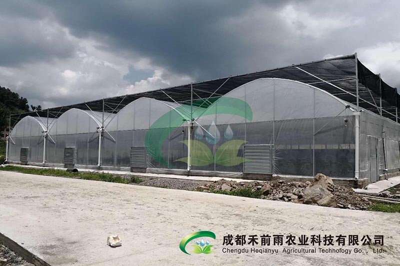 香港宝典报纸大全