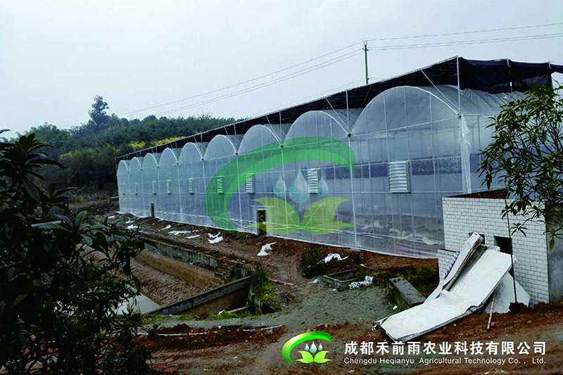 香港宝典报纸大全