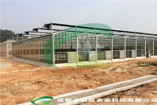 香港宝典报纸大全