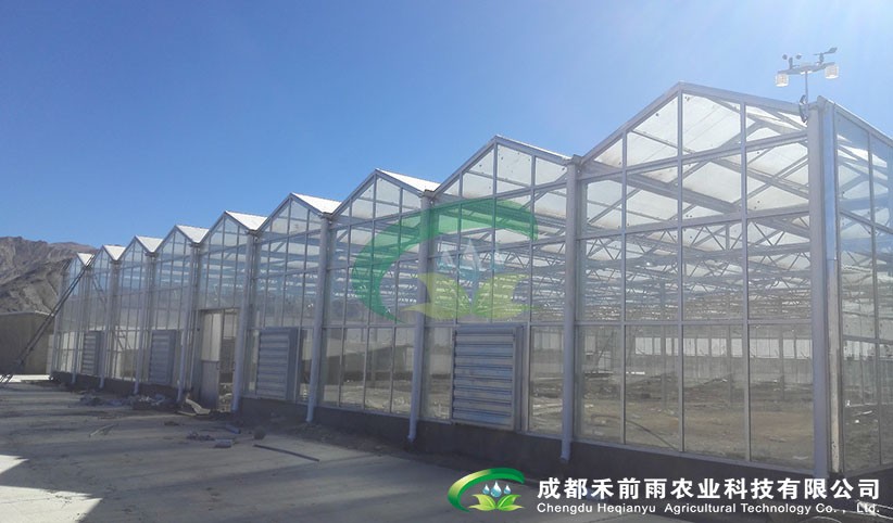 香港宝典报纸大全