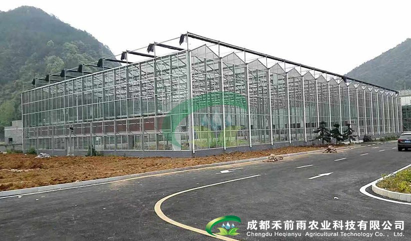 香港宝典报纸大全