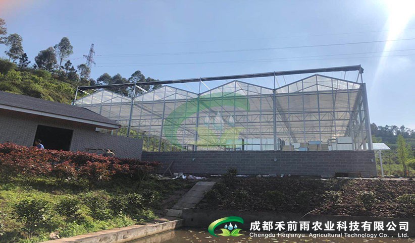 香港宝典报纸大全