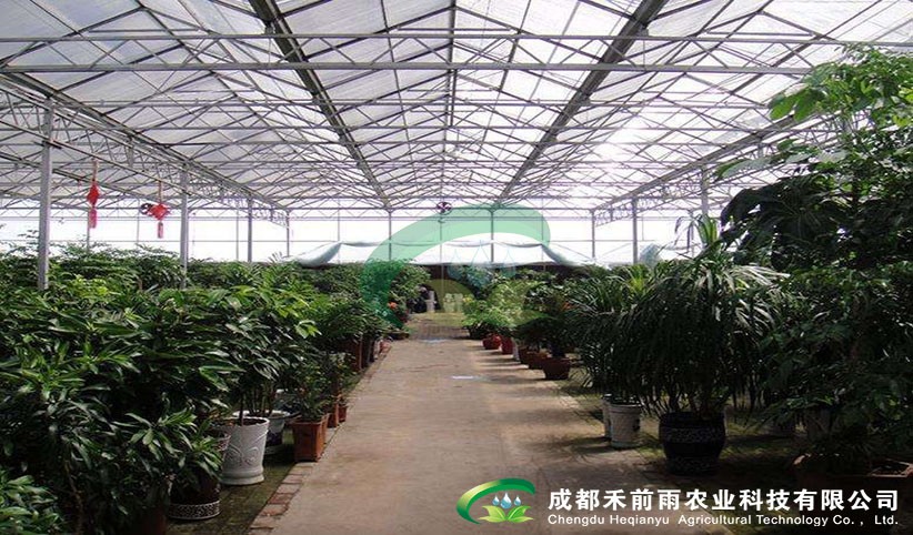 香港宝典报纸大全