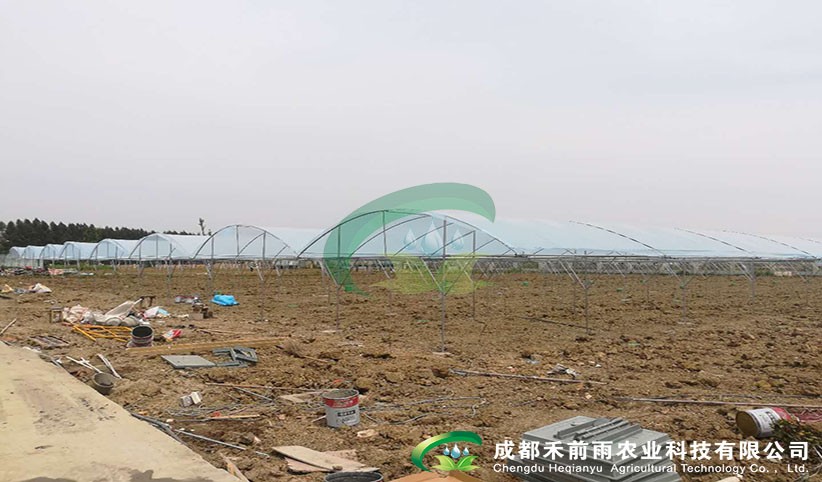 香港宝典报纸大全