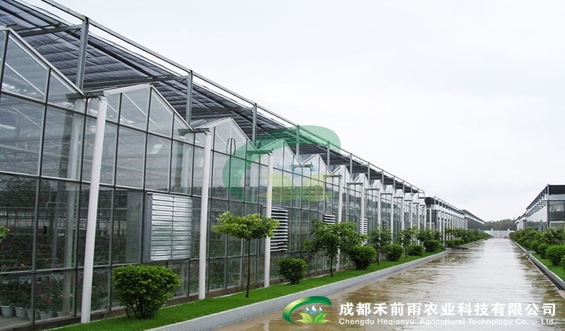 香港宝典报纸大全