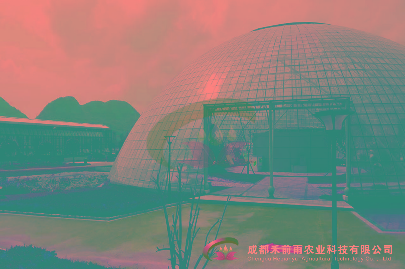 香港宝典报纸大全