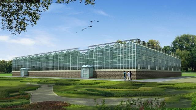 香港宝典报纸大全