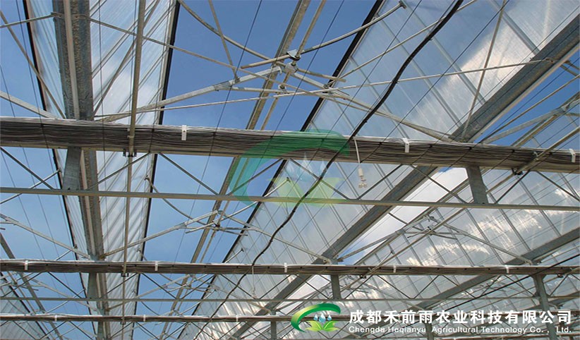 香港宝典报纸大全