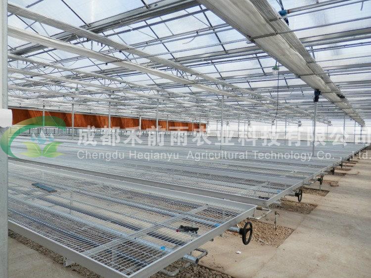 香港宝典报纸大全