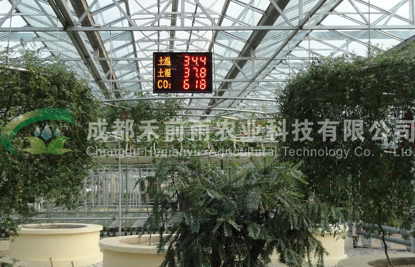 香港宝典报纸大全