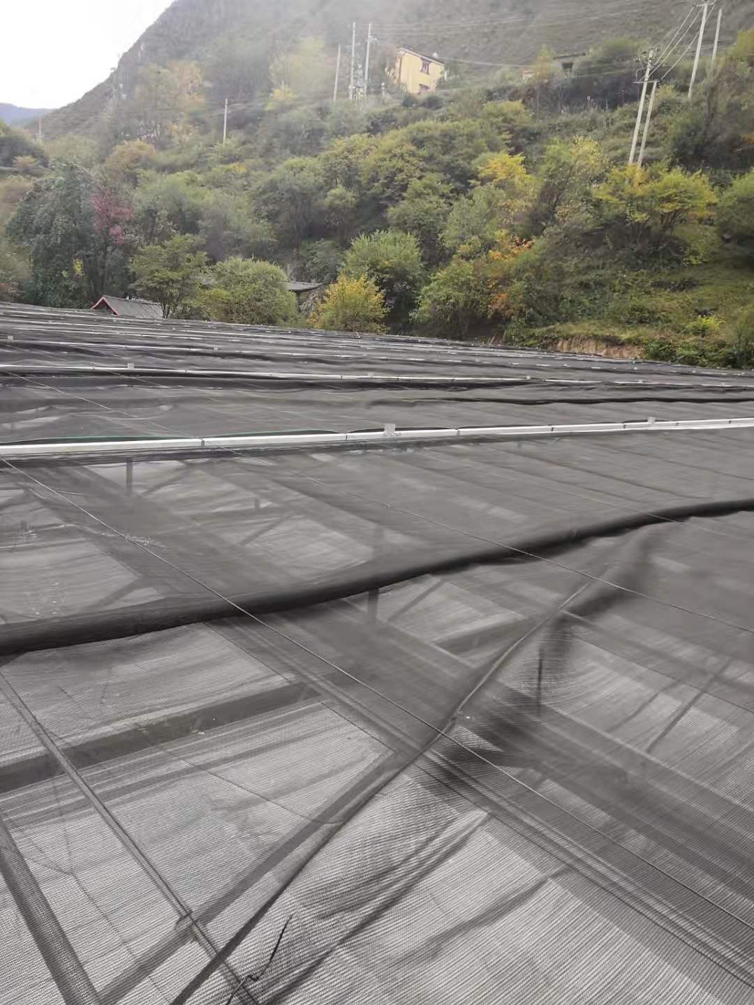 香港宝典报纸大全