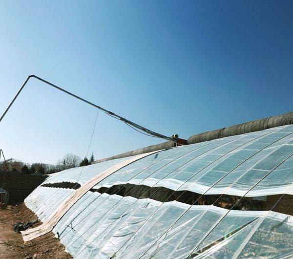 香港宝典报纸大全