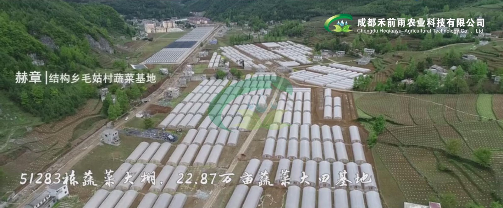 香港宝典报纸大全