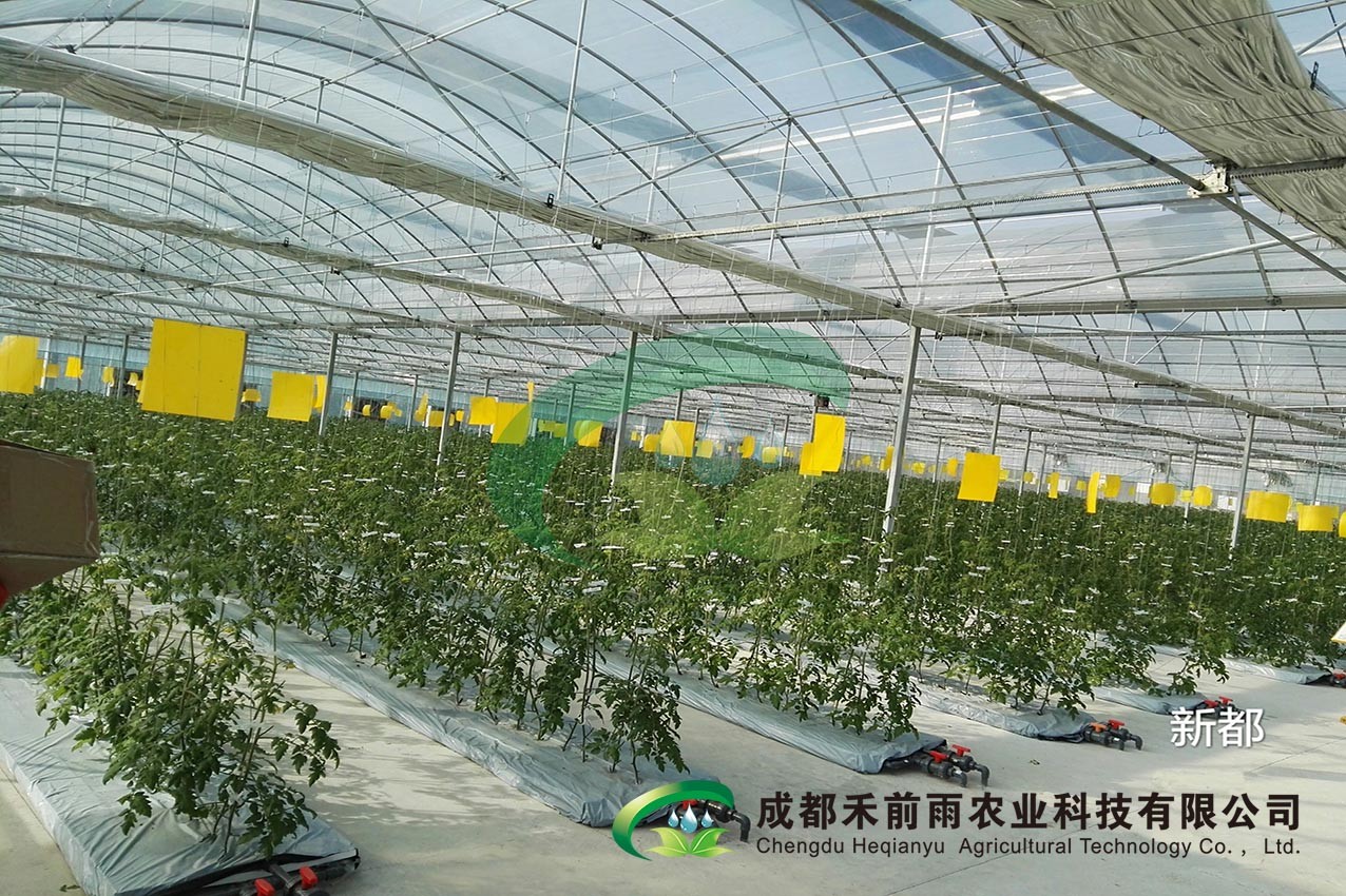 香港宝典报纸大全