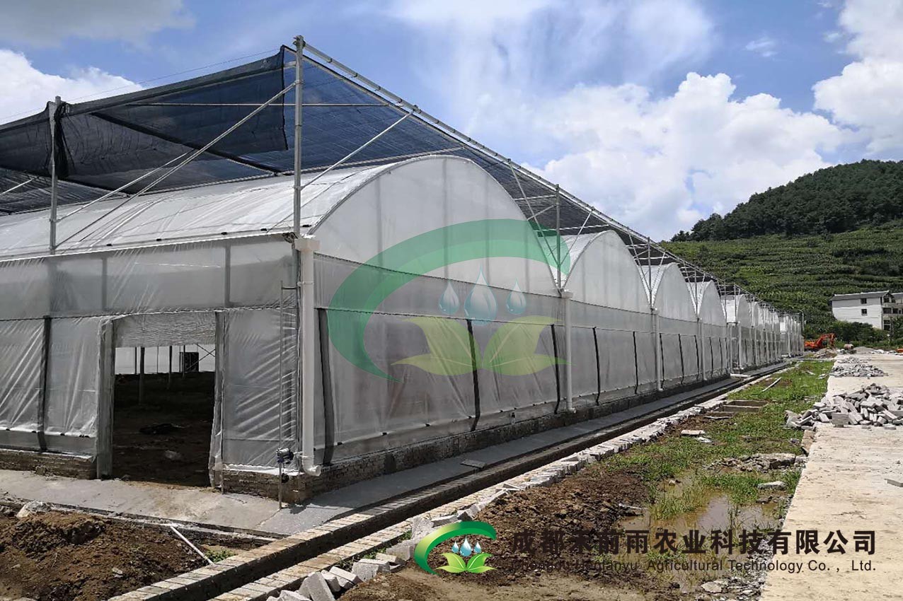 香港宝典报纸大全