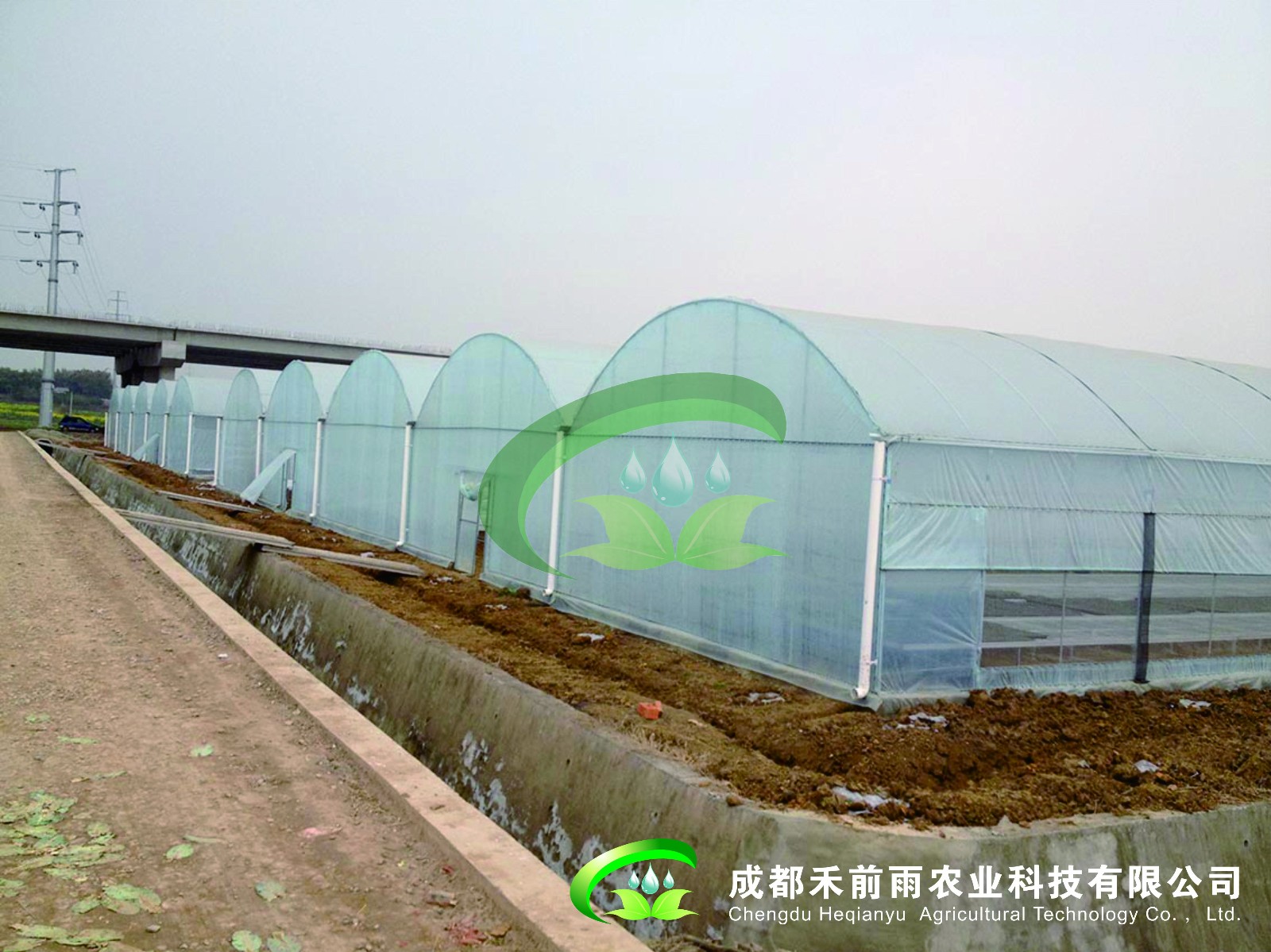 香港宝典报纸大全