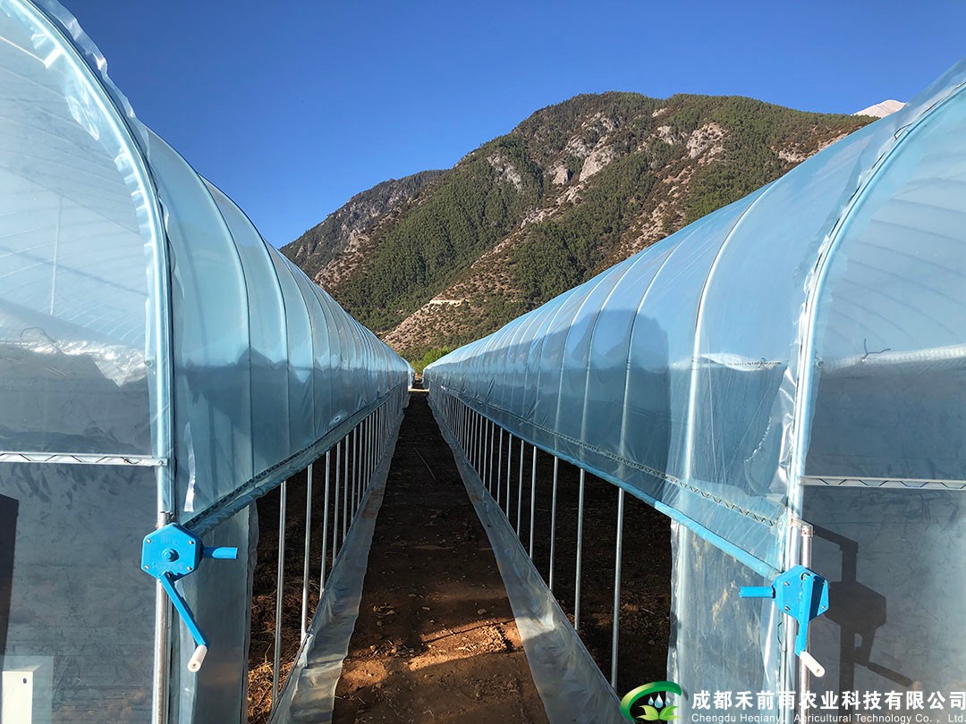 香港宝典报纸大全