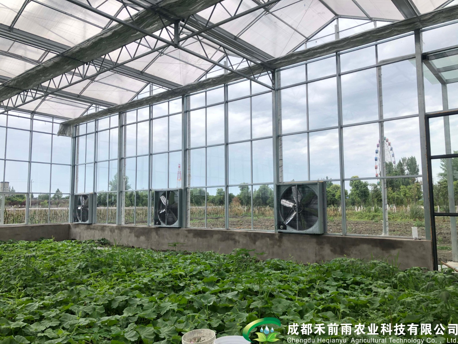 香港宝典报纸大全