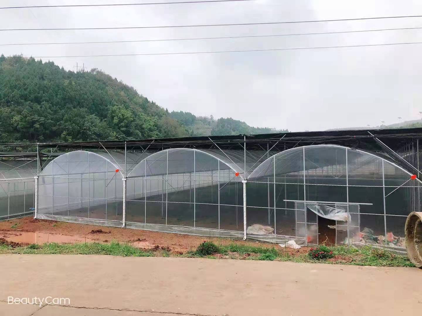 香港宝典报纸大全