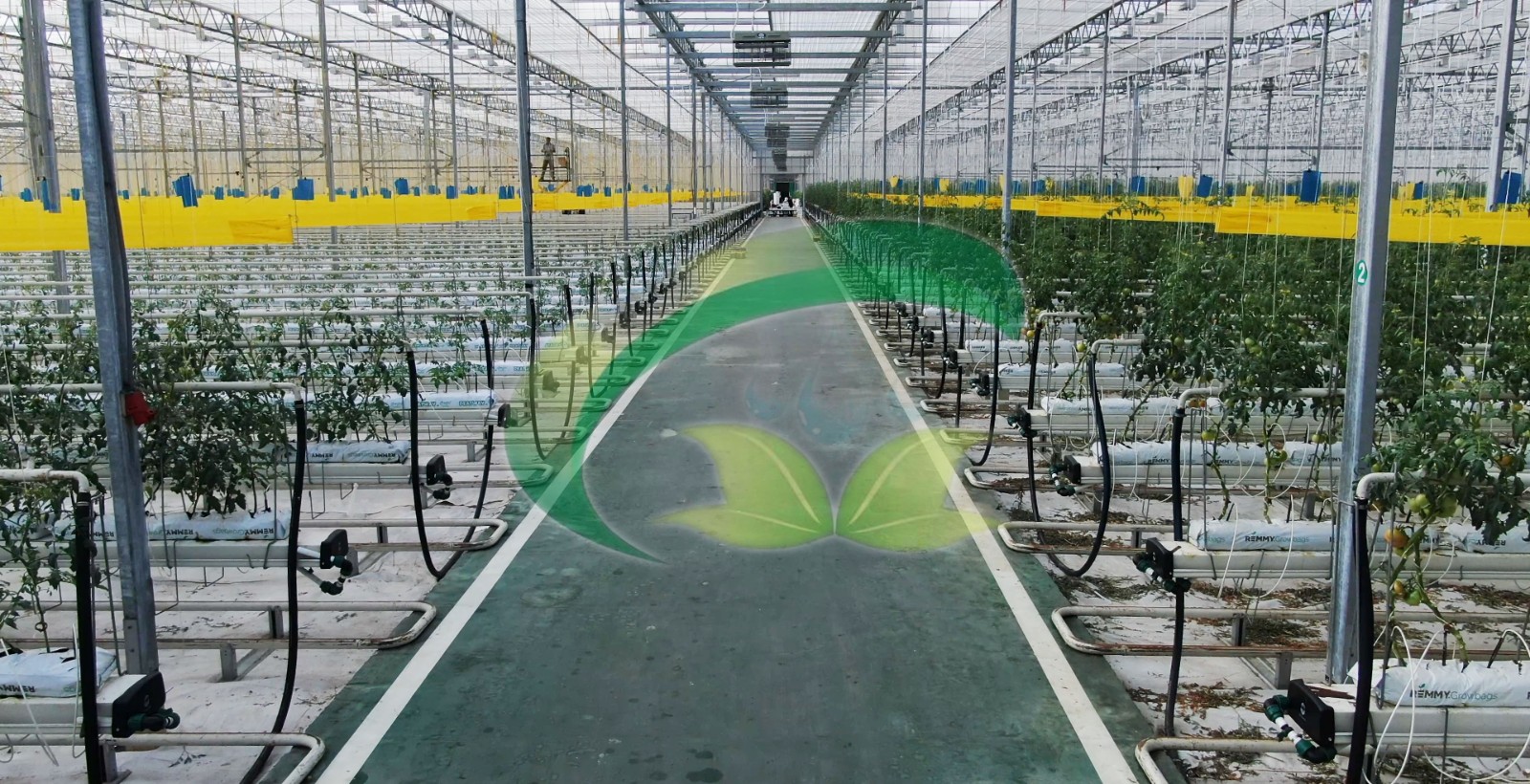 香港宝典报纸大全