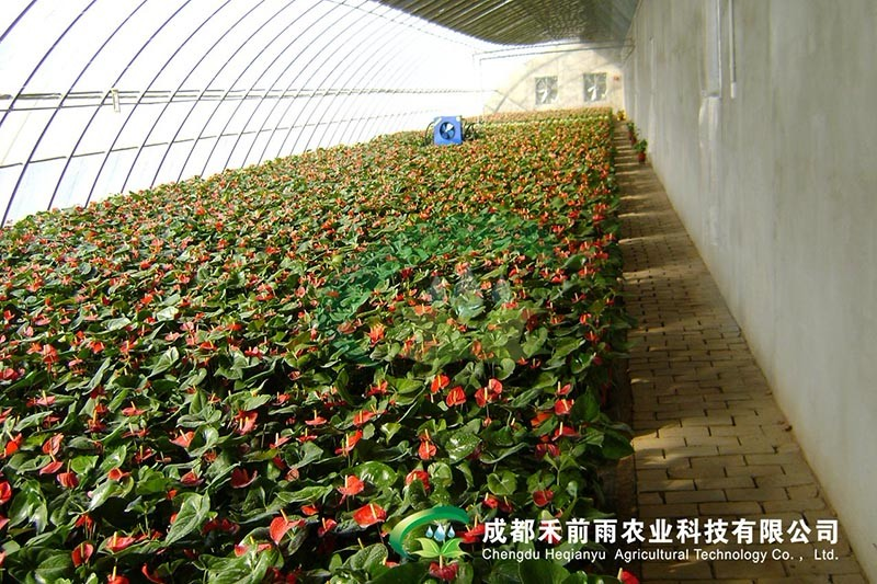 香港宝典报纸大全