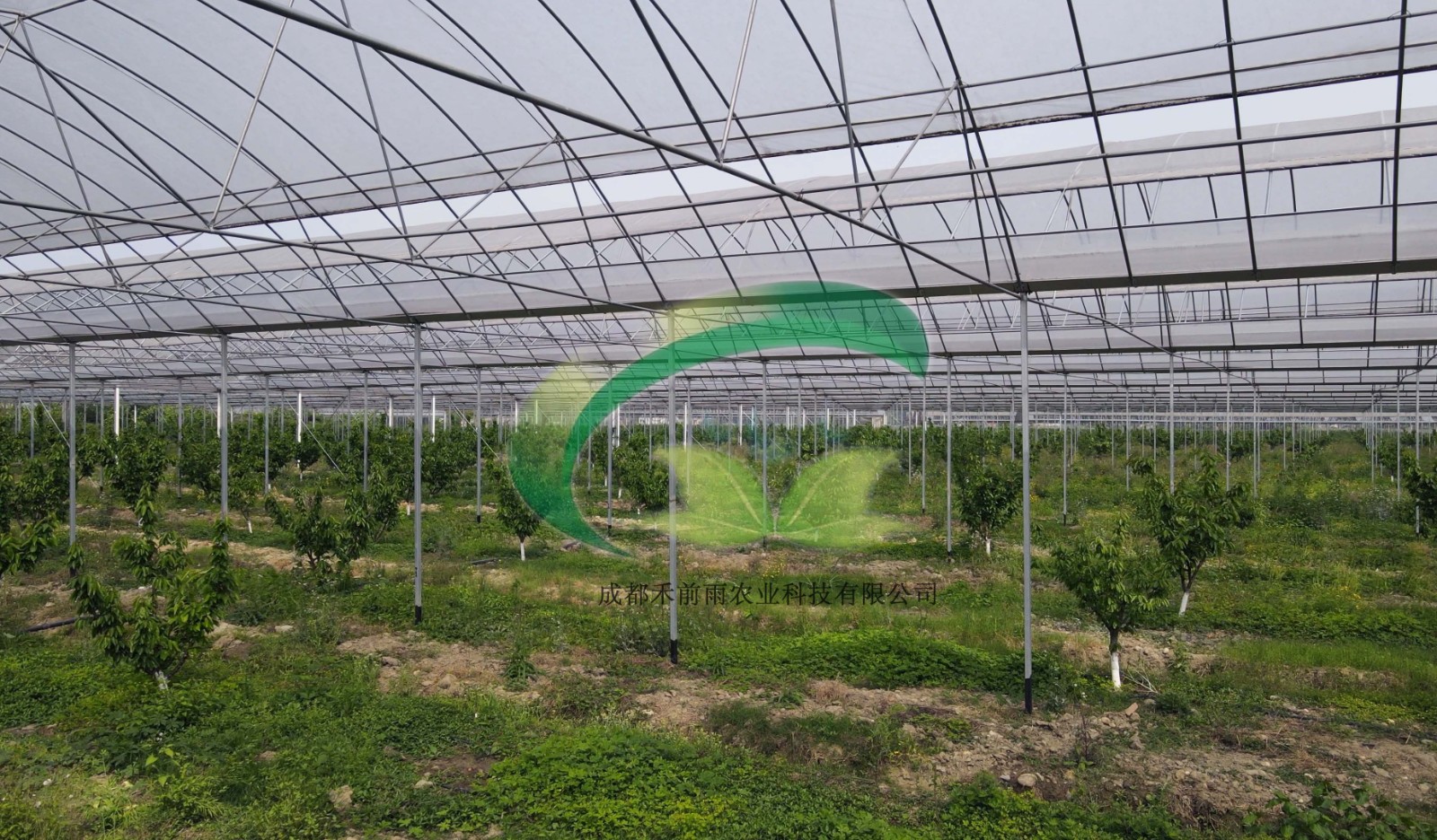 香港宝典报纸大全