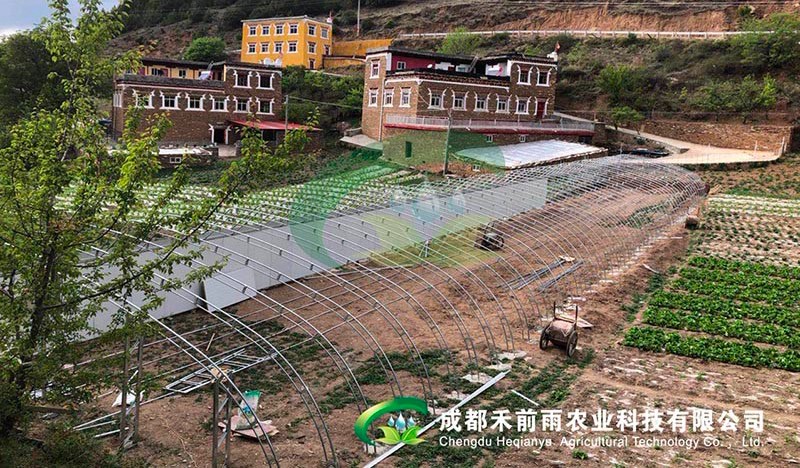 香港宝典报纸大全