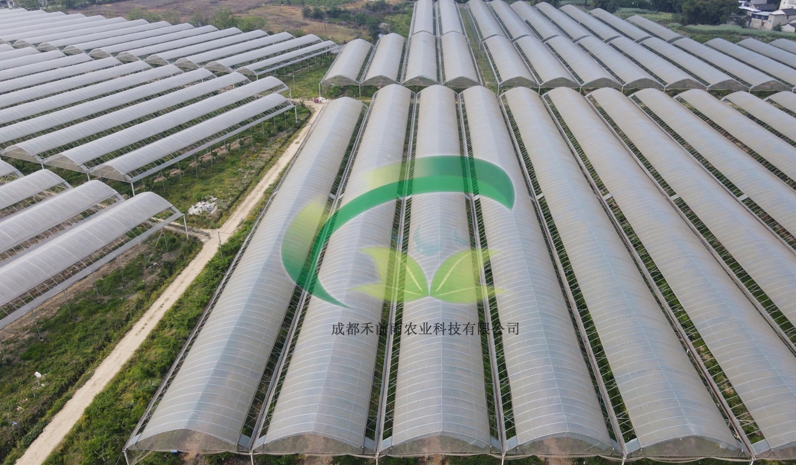 香港宝典报纸大全