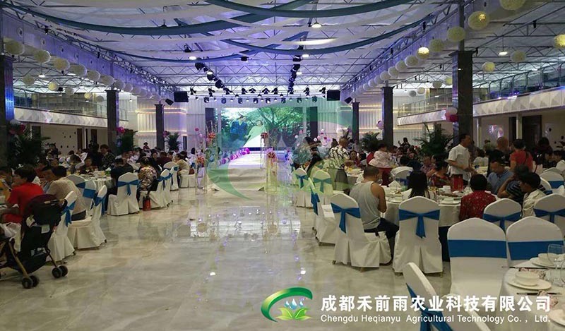 香港宝典报纸大全