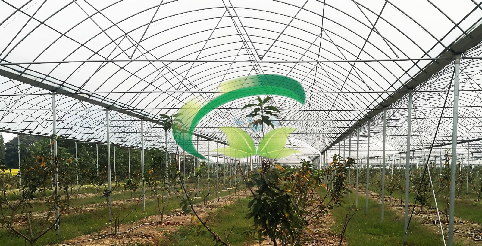 香港宝典报纸大全