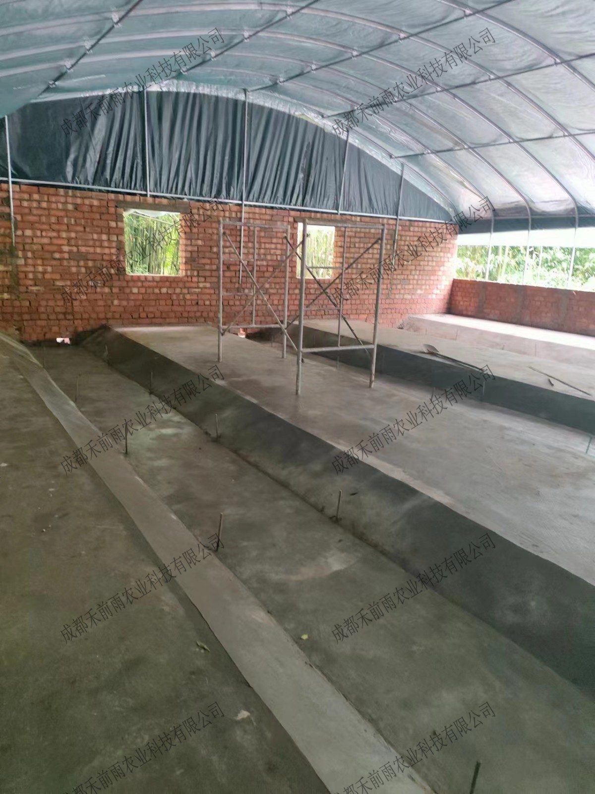 香港宝典报纸大全