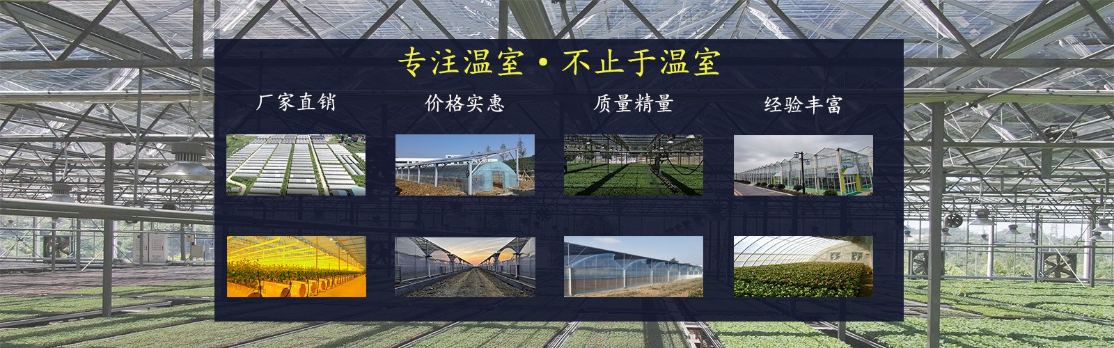 香港宝典报纸大全