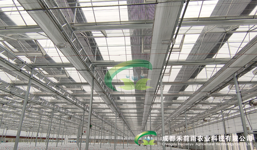 香港宝典报纸大全