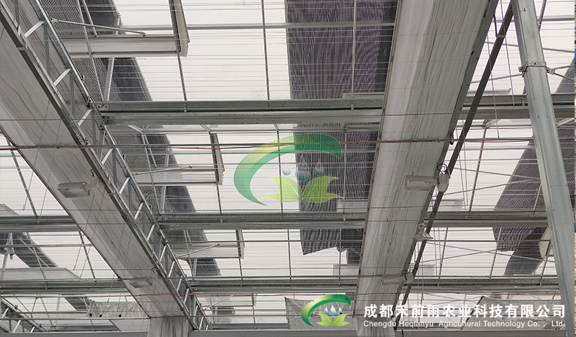 香港宝典报纸大全