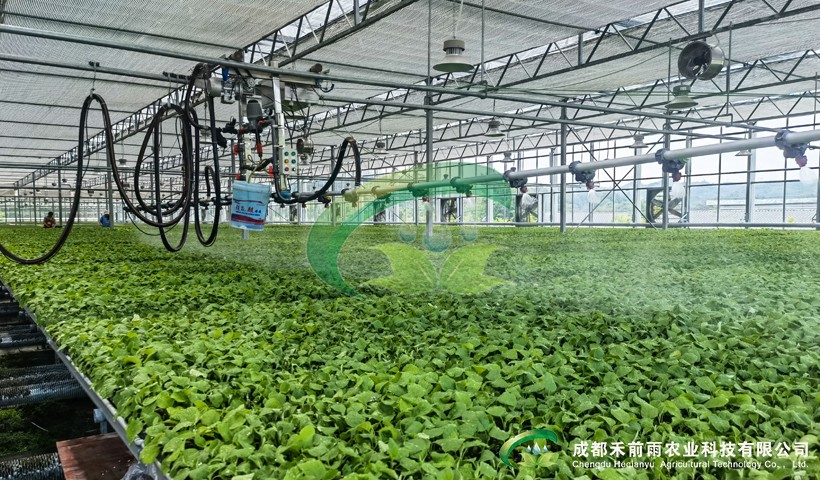 香港宝典报纸大全