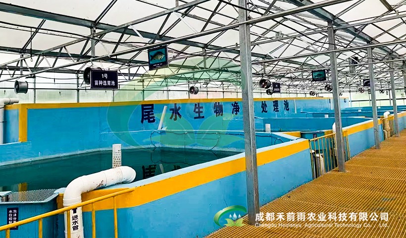 香港宝典报纸大全